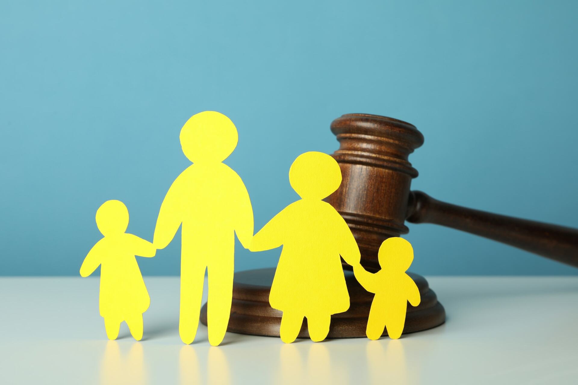 Navigating Family Law Appeals